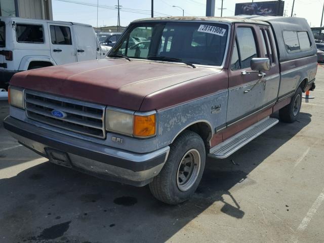 1FTEX15N4KKB42628 - 1989 FORD F150 BURGUNDY photo 2