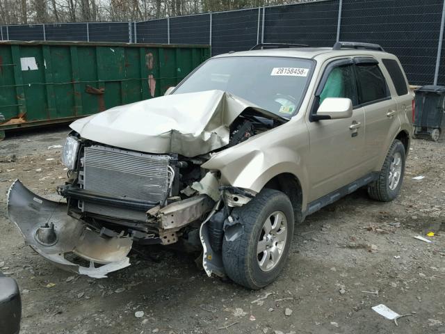 1FMCU9E76BKC53855 - 2011 FORD ESCAPE LIM GOLD photo 2