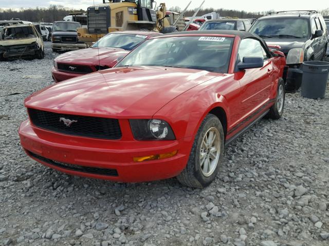 1ZVFT84N165130545 - 2006 FORD MUSTANG RED photo 2