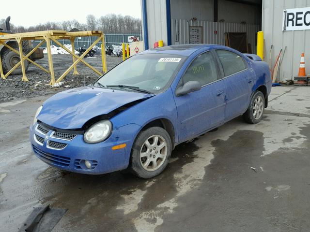 1B3ES56CX5D281594 - 2005 DODGE NEON SXT BLUE photo 2