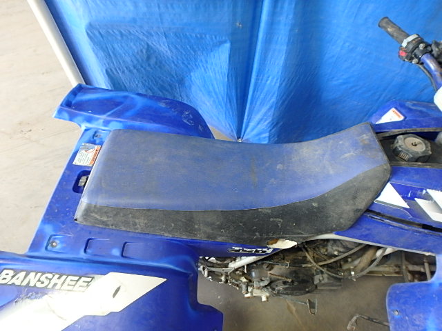 JY43GG032YA008522 - 2000 YAMAHA YFZ350 BLUE photo 6