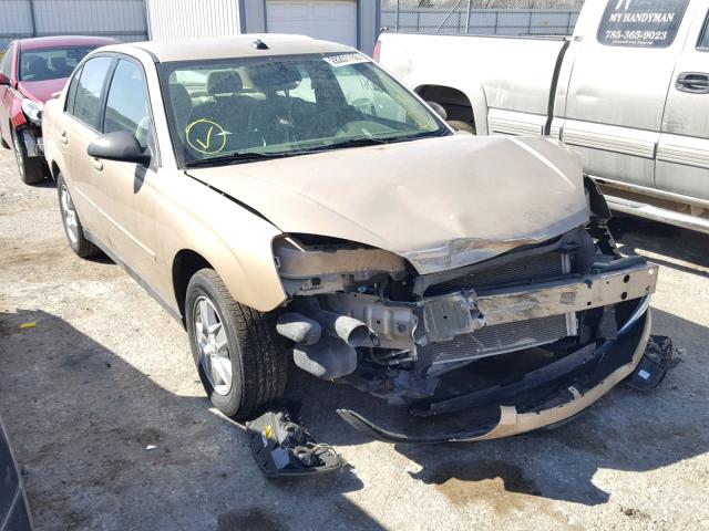 1G1ZT54875F128938 - 2005 CHEVROLET MALIBU LS ოქროსფერი ფოტო 1