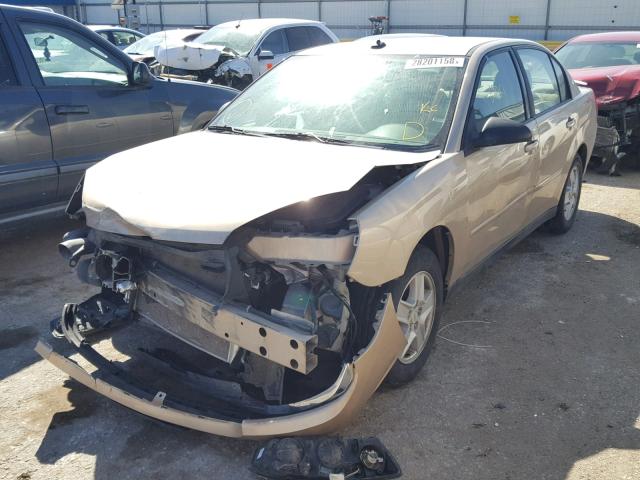 1G1ZT54875F128938 - 2005 CHEVROLET MALIBU LS ოქროსფერი ფოტო 2