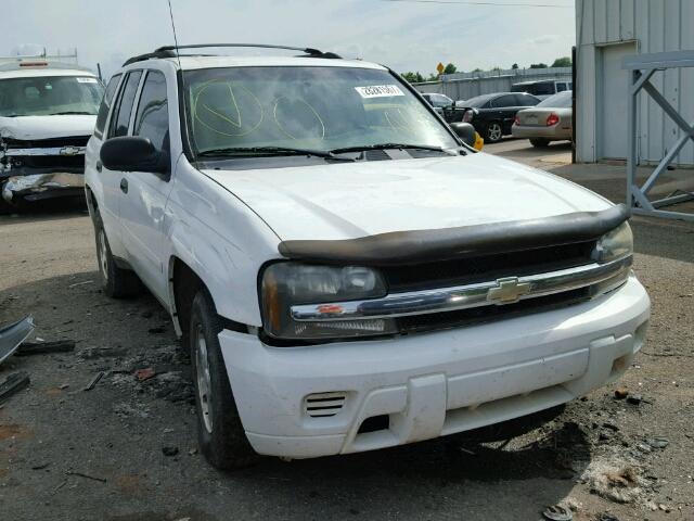 1GNDT13S862107233 - 2006 CHEVROLET TRAILBLAZE WHITE photo 1