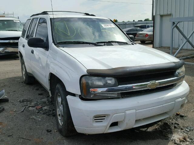 1GNDT13S862107233 - 2006 CHEVROLET TRAILBLAZE WHITE photo 9