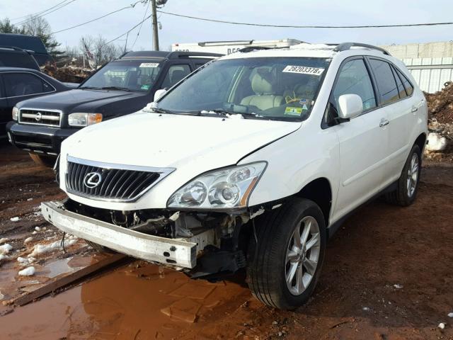 2T2HK31U19C111445 - 2009 LEXUS RX 350 WHITE photo 2