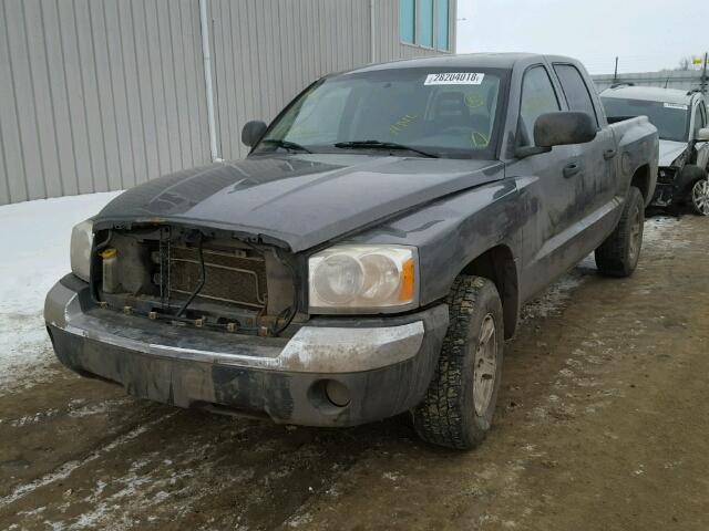 1D7HW48N75S281403 - 2005 DODGE DAKOTA QUA GRAY photo 2