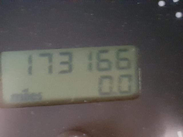 3VWCD21CX1M445024 - 2001 VOLKSWAGEN NEW BEETLE 白色 照片 8