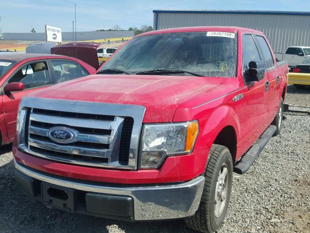 1FTEW1C83AFD10895 - 2010 FORD F150 SUPER RED photo 2