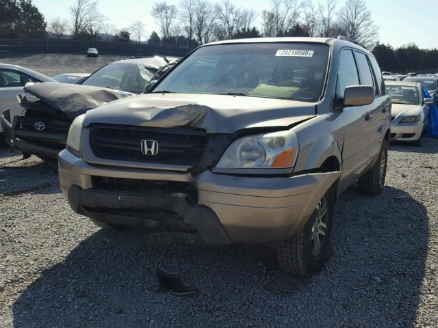 2HKYF18463H580053 - 2003 HONDA PILOT EX GOLD photo 2