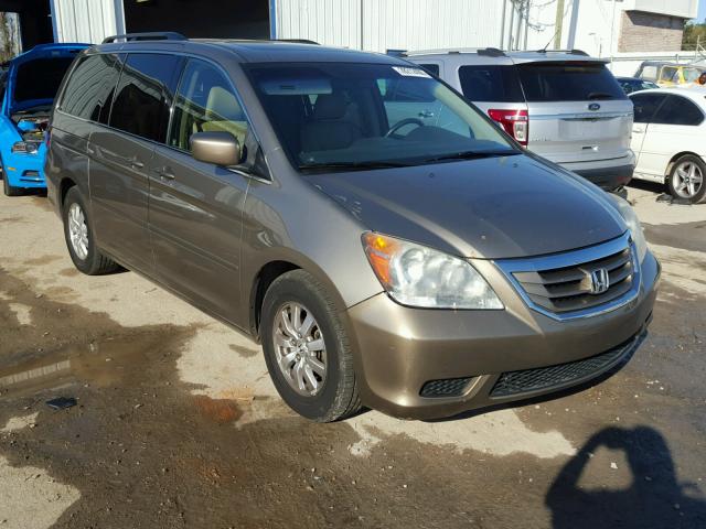 5FNRL38788B404632 - 2008 HONDA ODYSSEY EX GOLD photo 1