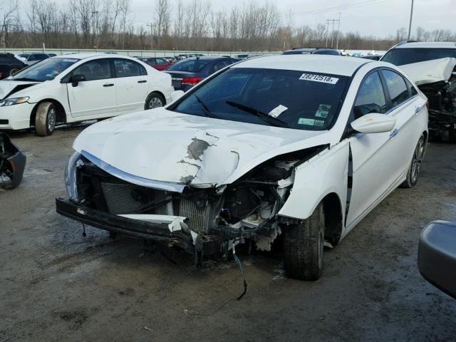 5NPEC4ABXDH804092 - 2013 HYUNDAI SONATA SE WHITE photo 2