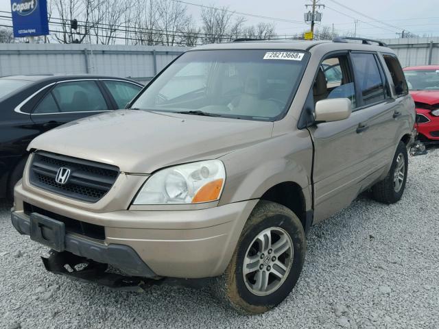 2HKYF18565H522388 - 2005 HONDA PILOT EXL GOLD photo 2