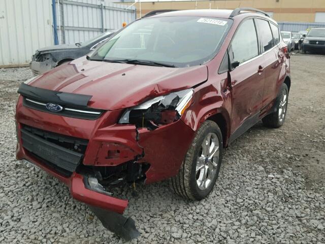 1FMCU9GX2EUA00344 - 2014 FORD ESCAPE SE RED photo 2