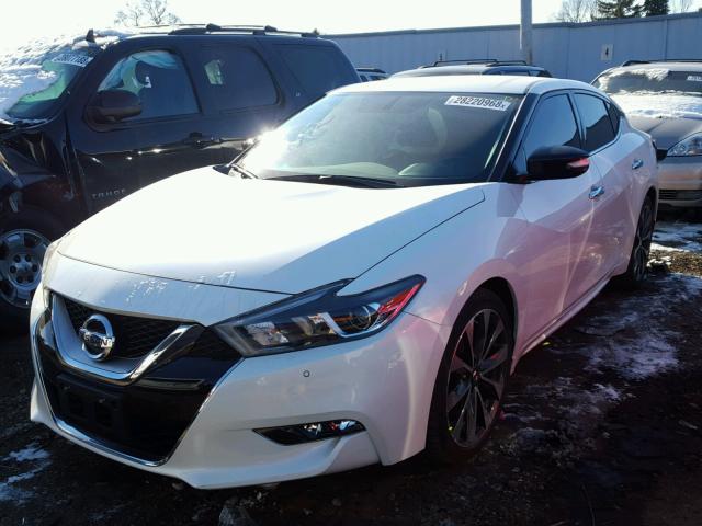 1N4AA6AP2GC433981 - 2016 NISSAN MAXIMA 3.5 WHITE photo 2