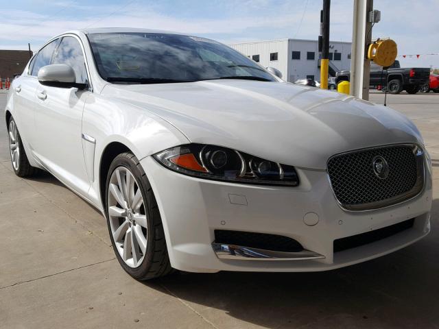 SAJWJ0EF1D8S89483 - 2013 JAGUAR XF WHITE photo 1