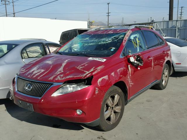 2T2ZK1BA3BC049372 - 2011 LEXUS RX 350 BURGUNDY photo 2