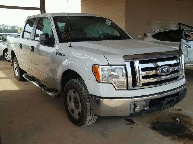 1FTFW1CV6AFA64662 - 2010 FORD F150 SUPER WHITE photo 1