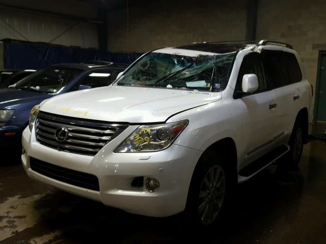 JTJHY00W994022808 - 2009 LEXUS LX 570 WHITE photo 2