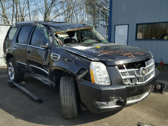 1GYS3FEJ4DR177201 - 2013 CADILLAC ESCALADE P BLACK photo 1