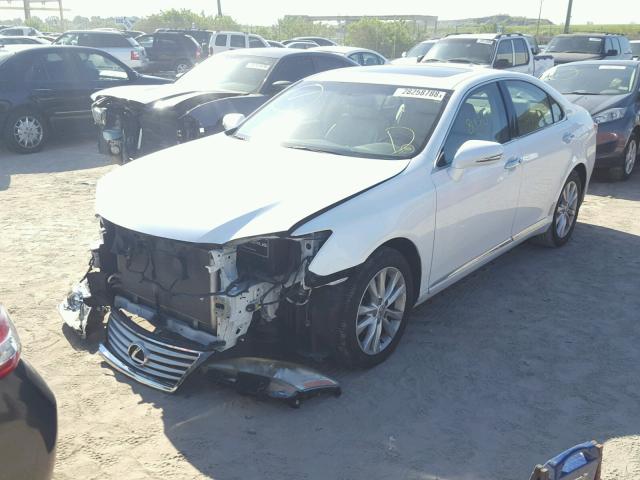 JTHBK1EG7A2409924 - 2010 LEXUS ES 350 WHITE photo 2