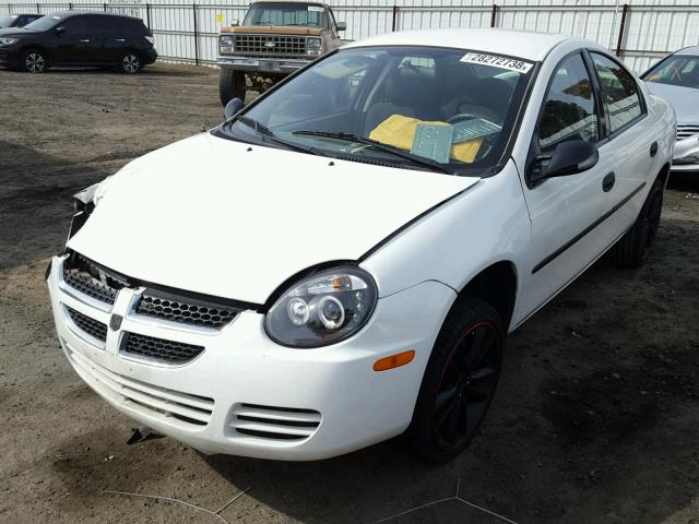 1B3ES26C85D101222 - 2005 DODGE NEON BASE WHITE photo 2