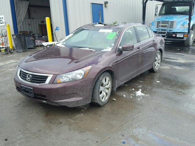 JHMCP26879C018068 - 2009 HONDA ACCORD EXL BURGUNDY photo 2