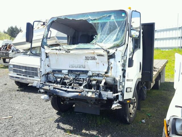 JALE5W163E7302120 - 2014 ISUZU NQR WHITE photo 2