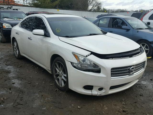 1N4AA5AP4AC835647 - 2010 NISSAN MAXIMA S WHITE photo 1