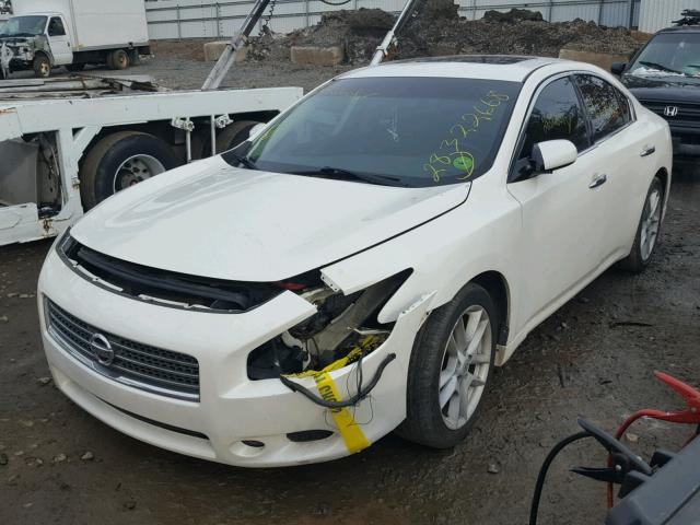 1N4AA5AP4AC835647 - 2010 NISSAN MAXIMA S WHITE photo 2