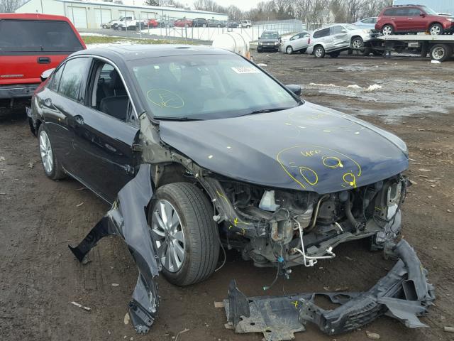 1HGCR3F8XDA046213 - 2013 HONDA ACCORD EXL BLACK photo 1