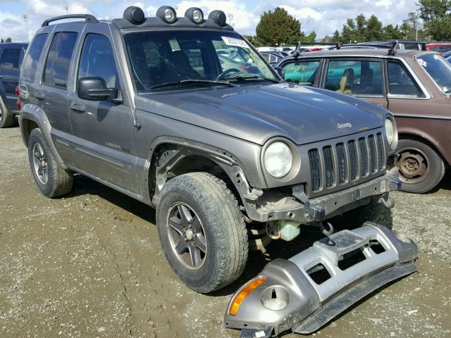 1J8GL38K92W366528 - 2002 JEEP LIBERTY RE 金色 照片 1