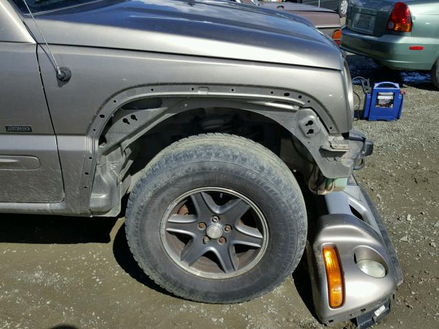 1J8GL38K92W366528 - 2002 JEEP LIBERTY RE 金色 照片 9