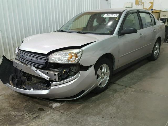 1G1ZT54815F200054 - 2005 CHEVROLET MALIBU LS ვერცხლისფერი ფოტო 2