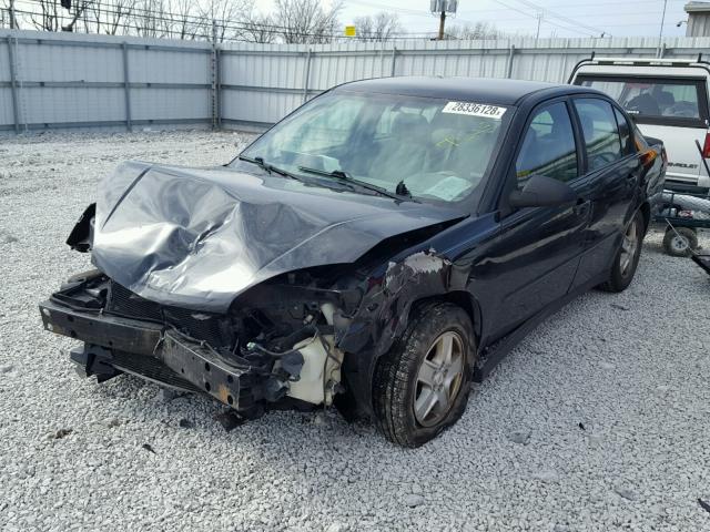 1G1ZT52885F326494 - 2005 CHEVROLET MALIBU LS Qara foto 2