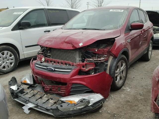 1FMCU0GX7EUD74959 - 2014 FORD ESCAPE SE RED photo 2