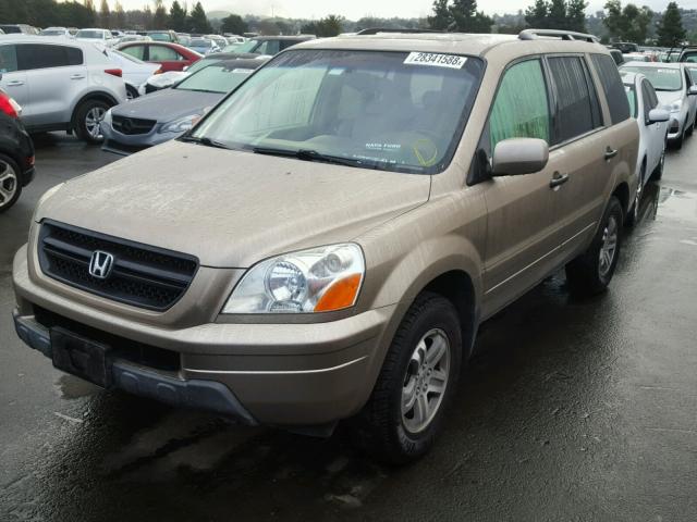 2HKYF18645H537030 - 2005 HONDA PILOT EXL BEIGE photo 2