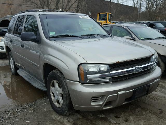 1GNDT13S422420645 - 2002 CHEVROLET TRAILBLAZE GRAY photo 1