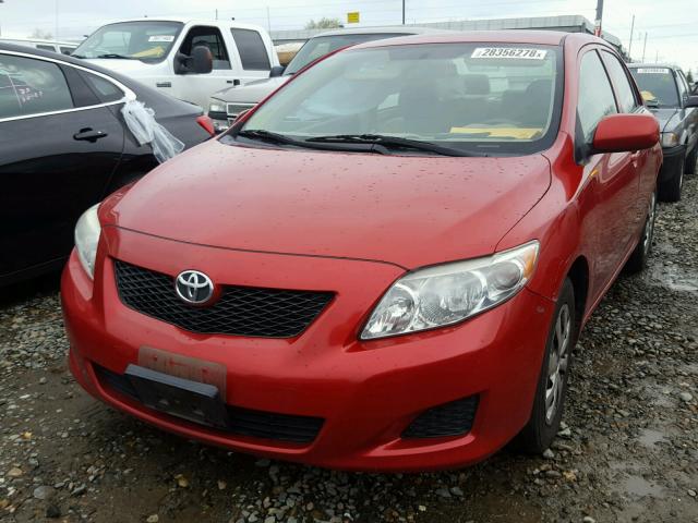 1NXBU4EE2AZ188289 - 2010 TOYOTA COROLLA BA RED photo 2