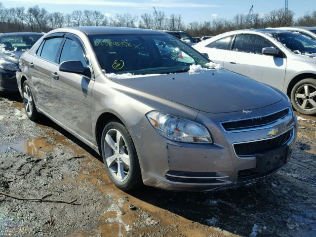 1G1ZC5E1XBF123522 - 2011 CHEVROLET MALIBU 1LT TAN photo 1