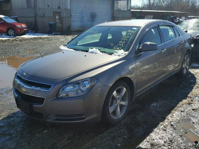 1G1ZC5E1XBF123522 - 2011 CHEVROLET MALIBU 1LT TAN photo 2