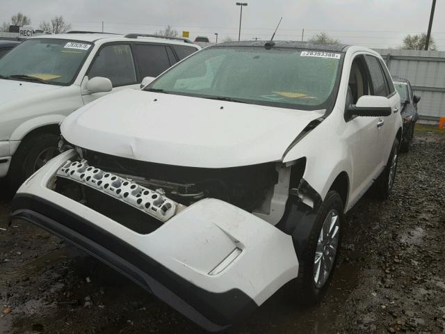 2FMDK3JC1BBB24409 - 2011 FORD EDGE SEL WHITE photo 2