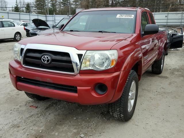 5TEUX42N98Z494268 - 2008 TOYOTA TACOMA ACC RED photo 2