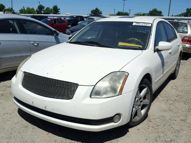 1N4BA41E84C926194 - 2004 NISSAN MAXIMA SE WHITE photo 2