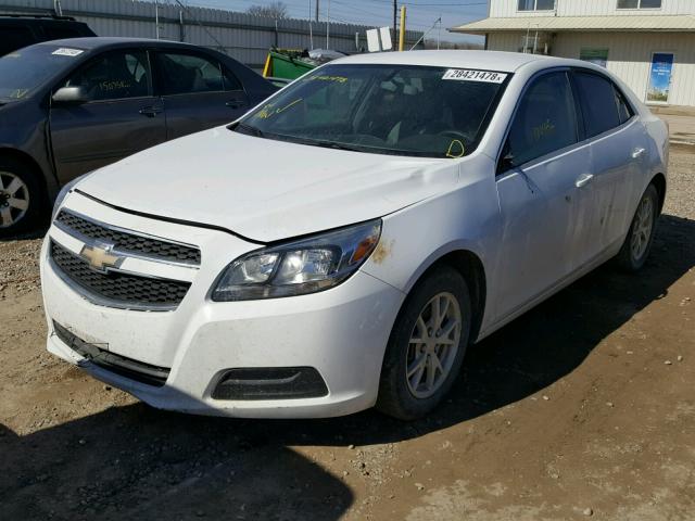 1G11A5SA2DF287745 - 2013 CHEVROLET MALIBU LS 白色 照片 2