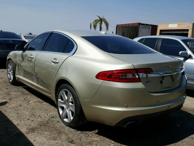 SAJWA05BX9HR36239 - 2009 JAGUAR XF LUXURY TAN photo 3