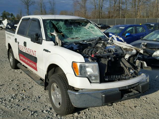 1FTEW1E84AFA29217 - 2010 FORD F150 SUPER WHITE photo 1