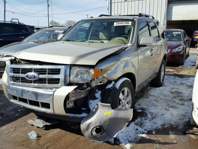 1FMCU9EG4AKC16432 - 2010 FORD ESCAPE LIM GOLD photo 2