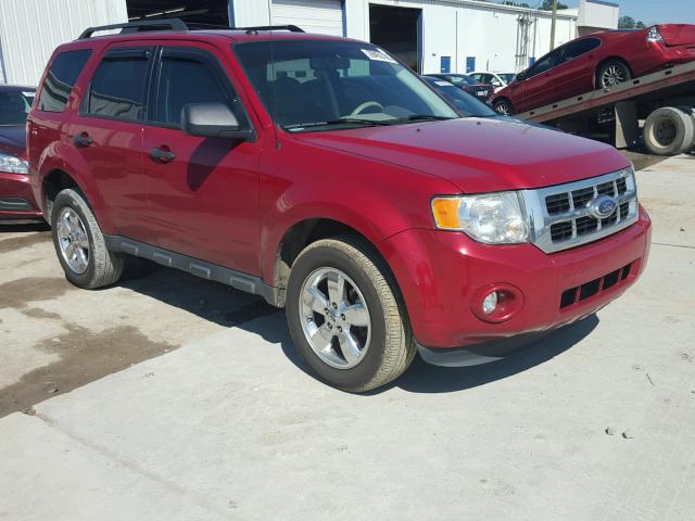 1FMCU0D73BKA65937 - 2011 FORD ESCAPE XLT RED photo 1