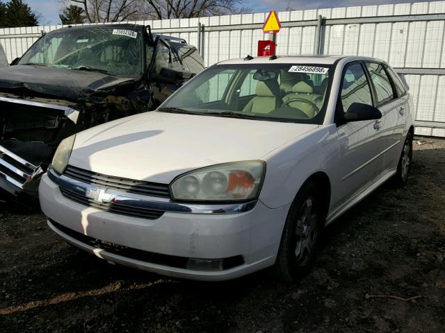 1G1ZU64825F131653 - 2005 CHEVROLET MALIBU MAX 白色 照片 2